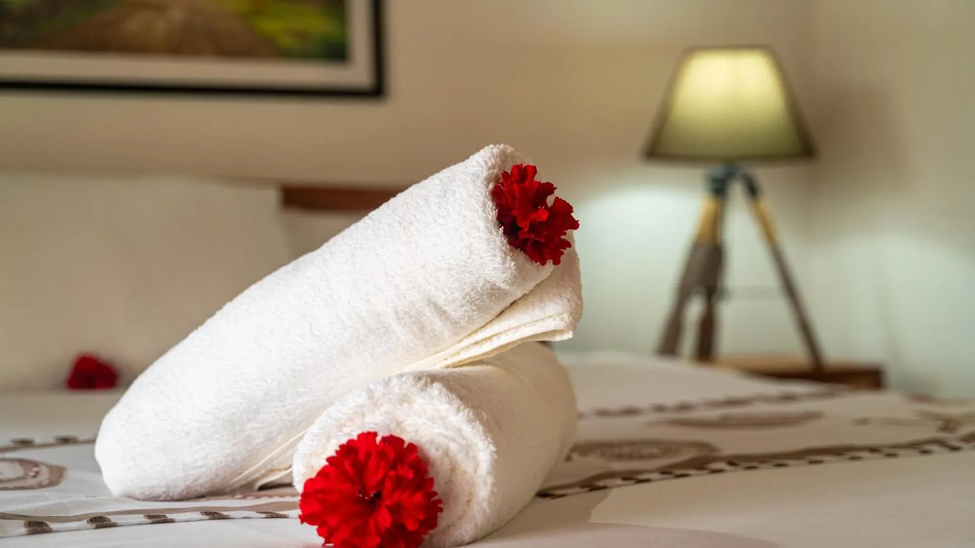Au Cap Self Catering Villa Anse aux Pins
