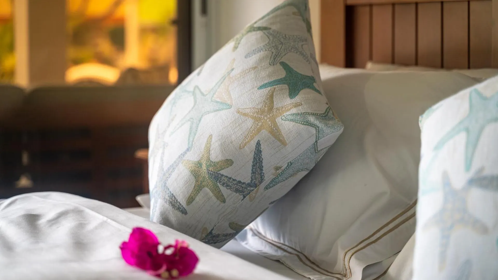 Villa Au Cap Self Catering à Anse aux Pins Hébergement de vacances